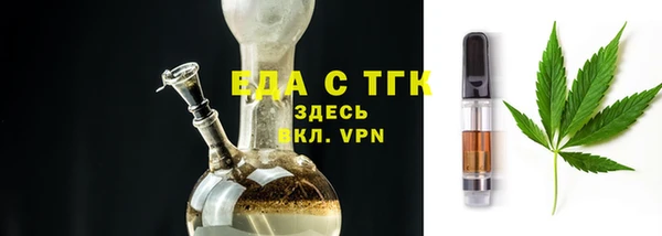 амф Гусев