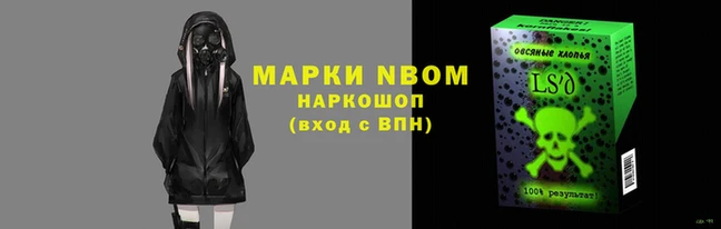 амф Гусев