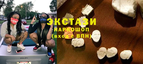 амф Гусев