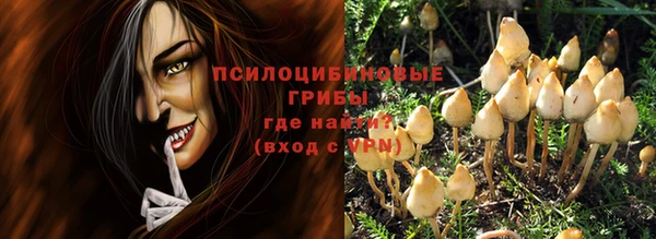 mdpv Гусь-Хрустальный