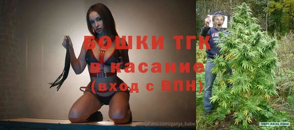 амф Гусев