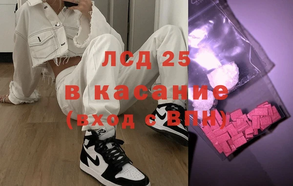амф Гусев
