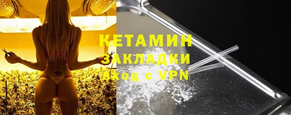 амф Гусев