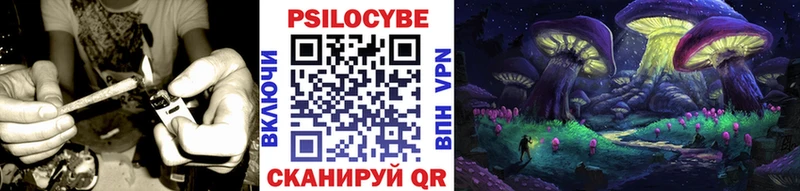 Псилоцибиновые грибы Psilocybine cubensis  продажа наркотиков  Тогучин 